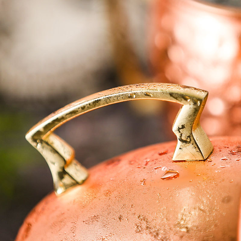 6 قطعة 60 مللي البغل أكواب نحا - مراجعة Mule Copper Mug وسعره